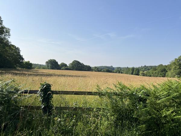Chateau à vendre à Thiviers (24800) - Dordogne