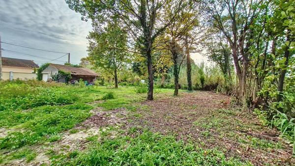 Cheval-Blanc (84460) TERRAIN CONSTRUCTIBLE ARBORE