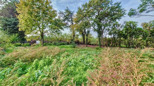 Cheval-Blanc (84460) TERRAIN CONSTRUCTIBLE ARBORE