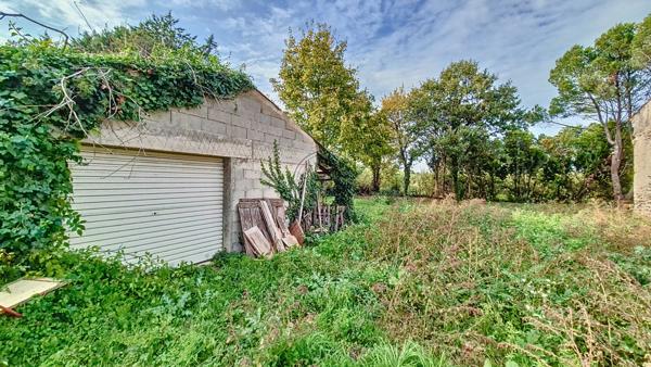 Cheval-Blanc (84460) TERRAIN CONSTRUCTIBLE ARBORE