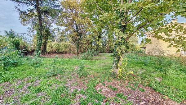 Cheval-Blanc (84460) TERRAIN CONSTRUCTIBLE ARBORE