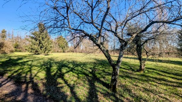 Vente Maison de village 5 pièces 147 m2 à Aubigny-sur-Nère