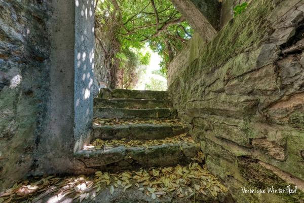 Propriete à vendre 8 pièces NEZEL (78)-231m²-7 chambres-garage-dépendance-terrain 1605m²