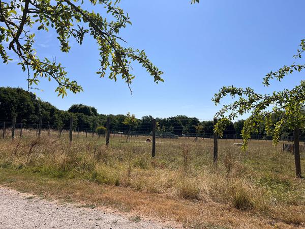 Terrain Aizenay 543 m2