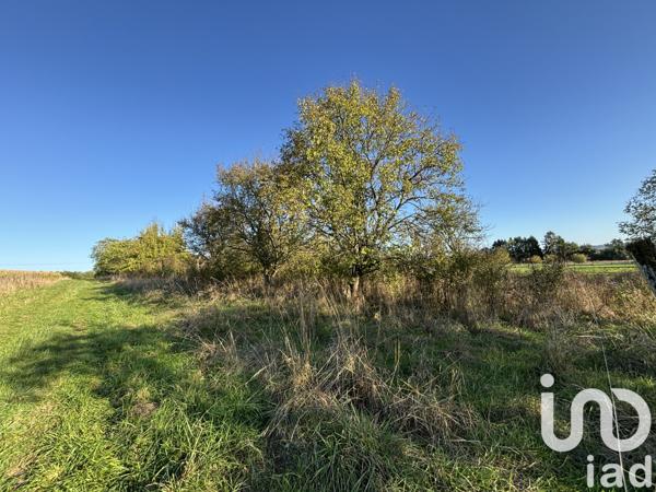 Terrain à vendre 2 344 m² Sormonne