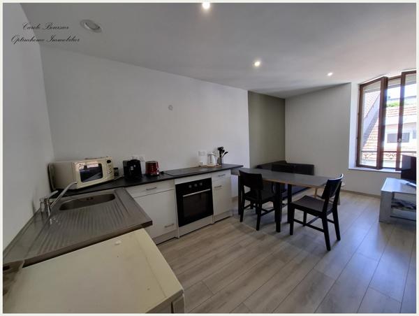 Immeuble de Rapport – Spécial Investisseur – Bourbonne-les-Bains (Ville Thermale)