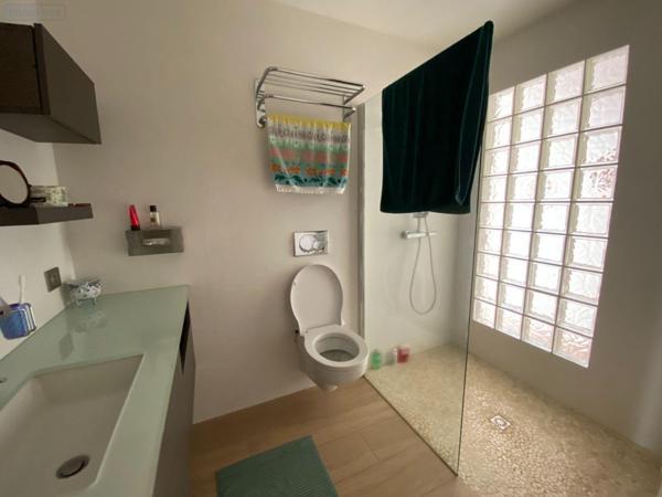 Maison à vendre à Palluau-sur-Indre dans l'Indre (36500), ref : 1051635