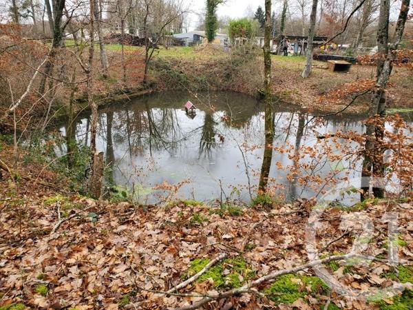 Terrain à vendre  2008 m2 MARAYE EN OTHE - 10