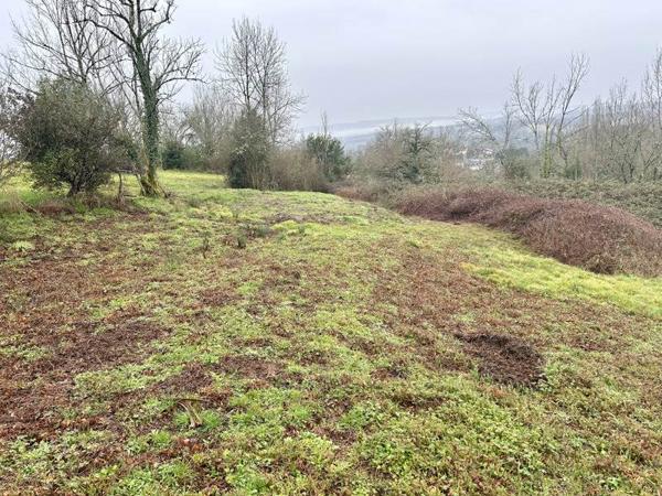 Terrain à vendre |  Meyssac |  2362 m²