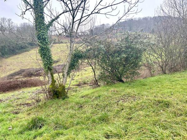 Terrain à vendre |  Meyssac |  2362 m²