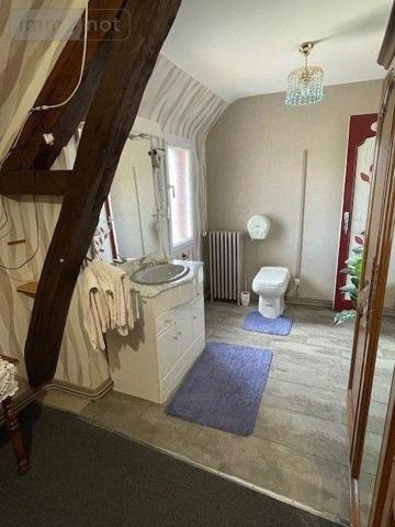 Maison à vendre à Chaumont-sur-Loire dans le Loir-et-Cher (41150), ref : 001/2156