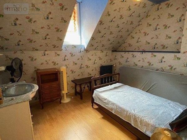 Maison à vendre à Chaumont-sur-Loire dans le Loir-et-Cher (41150), ref : 001/2156