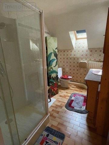 Maison à vendre à Chaumont-sur-Loire dans le Loir-et-Cher (41150), ref : 001/2156