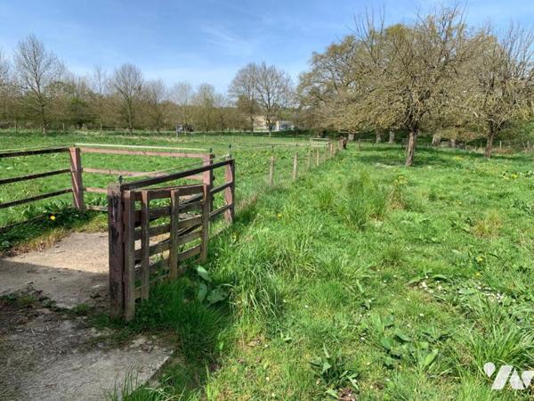 Charmante propriété avec dépendances, parc animalier et installations équestres – Terrain de 5 676 m