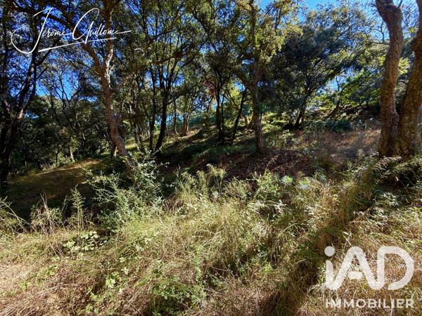 Terrain à vendre 1 144 m² La Croix-Valmer