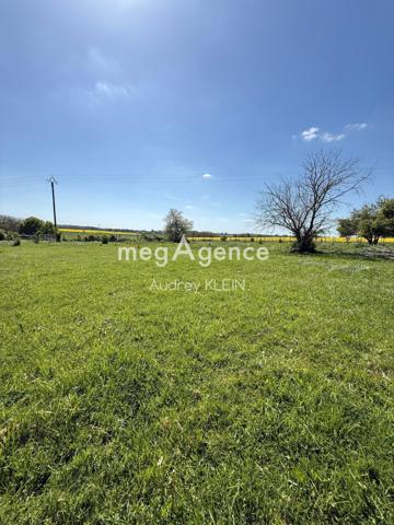Maison à Courtenay, 45320 - 6 pièces 180m²