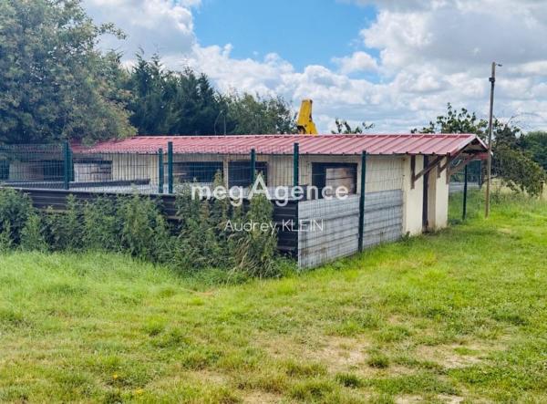 Maison à Courtenay, 45320 - 6 pièces 180m²