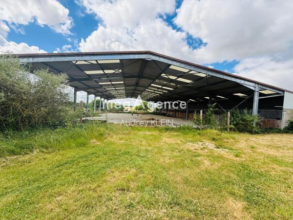 Maison à Courtenay, 45320 - 6 pièces 180m²