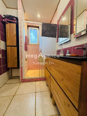 Maison à Courtenay, 45320 - 6 pièces 180m²