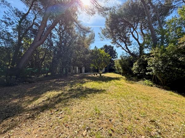 À vendre propriété à Carpentras avec piscine et gîtes