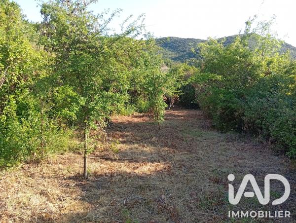 Terrain à vendre 9 898 m² Bédarieux