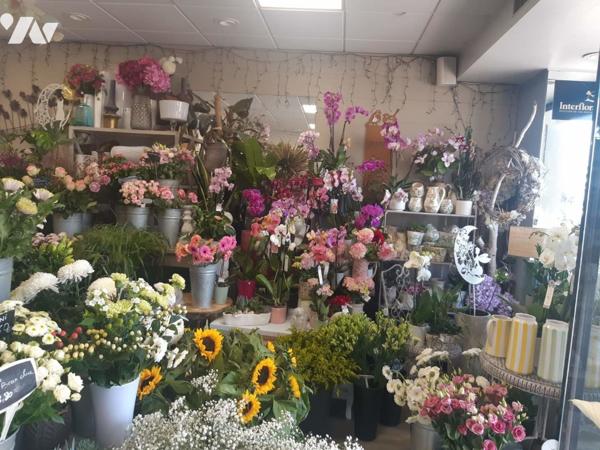 Vente Local mixte (Professionnel/Habitation)