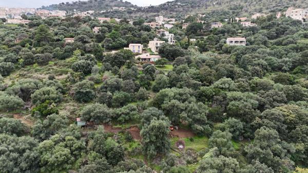 Achat terrain Santa-Reparata-di-Balagna - 2000 m² - 380 000 €