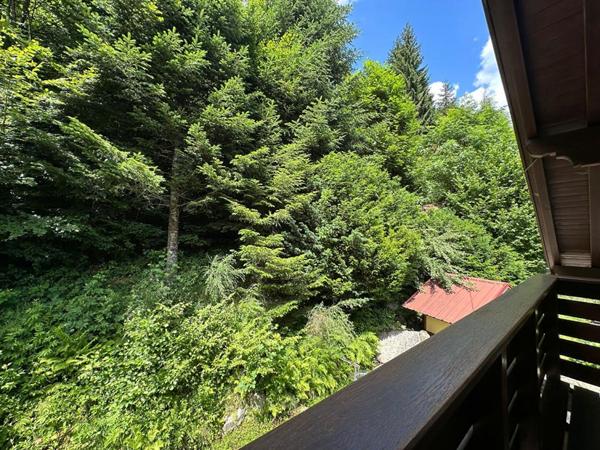 Chalet de montagne 5 pièces 150 m2, 40 are de terrain