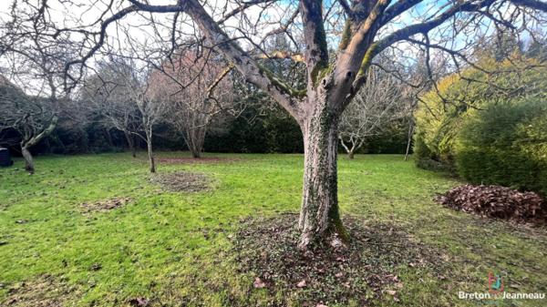 Terrain constructible à Saint Berthevin