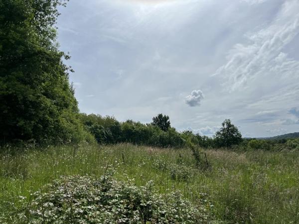 Terrain à vendre 25 000 € Vignols 3400 m² DPE