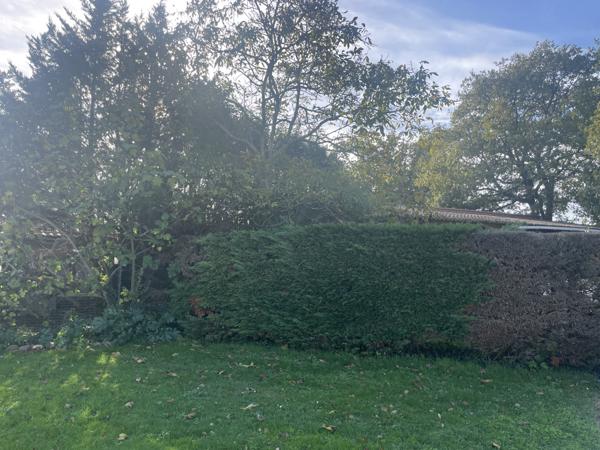 Terrain 1000m2 viabilisé Roques/Garonne  Roques (31120)