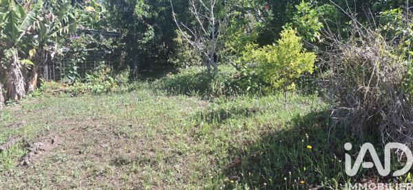 Terrain à vendre 446 m² Le Tampon
