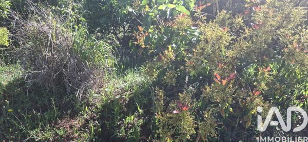 Terrain à vendre 446 m² Le Tampon