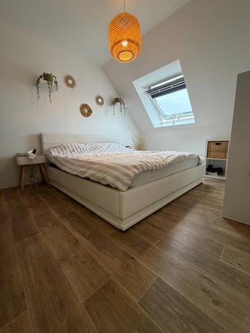 Maison à vendre pièces (62)