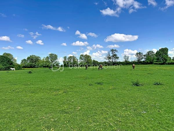Emmanuel Cauchois BSK immobilier, vous présente cet agréable pavillon familiale de 95m2 de 2008 sur un terrain de 3873m2 possédant une vie de plain-pied.

     - La maison se compose:
 D'une entrée desservant un salon lumineux sur une salle à manger avec sont poêle à bois, une cuisine aménagée et équipée, un couloir donnant sur un WC indépendant, une chambre, une salle d'eau, un accès direct au garage. 

      - A l'étage un grand palier donnant sur deux chambres.

     - Les poins fort:

Comble isolé.
Pompes à chaleur 
Un beau terrain avec vu sur prêt de chevaux.
Arrêt de bus tout prêt.

Toiture en bon état démoussage devis cours.