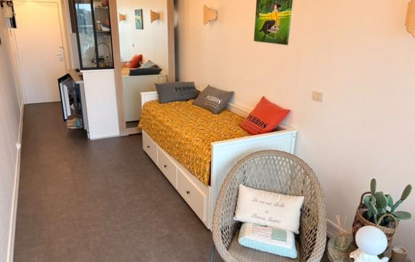 Vente Studio Vue mer imprenable rénové(e) Perros-guirec
