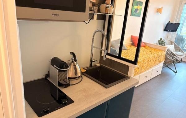Vente Studio Vue mer imprenable rénové(e) Perros-guirec