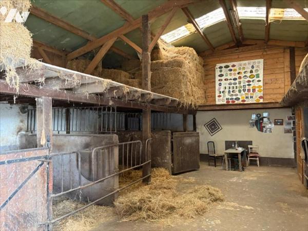 PROPRIETE EQUESTRE ENTRE POITIERS ET CHATELLERAULT