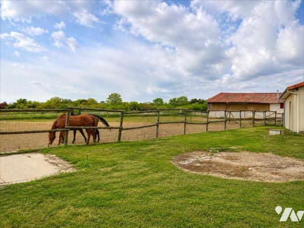 PROPRIETE EQUESTRE ENTRE POITIERS ET CHATELLERAULT
