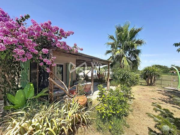 Maison en bout de Mas en Camargue