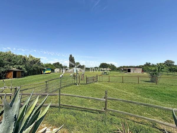 Maison en bout de Mas en Camargue