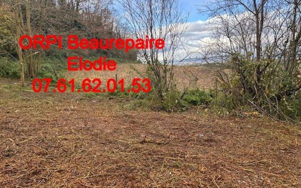 Terrain à vendre    Beaurepaire