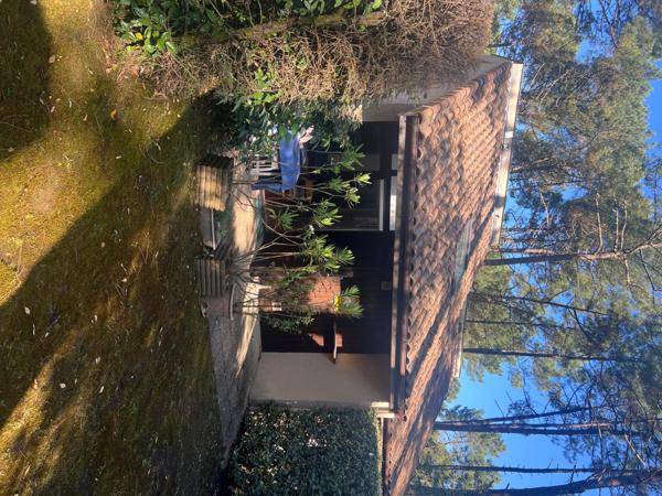 JOLIE MAISON DE 37m2- LACANAU OCÉAN AU GOLF