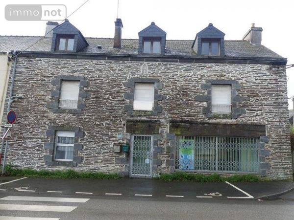 Immeuble à vendre à Saint Martin sur Oust dans le Morbihan (56200), ref : 35066-775-35066