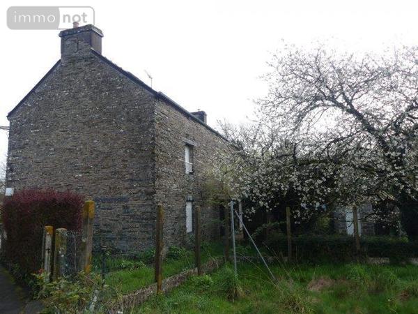 Immeuble à vendre à Saint Martin sur Oust dans le Morbihan (56200), ref : 35066-775-35066