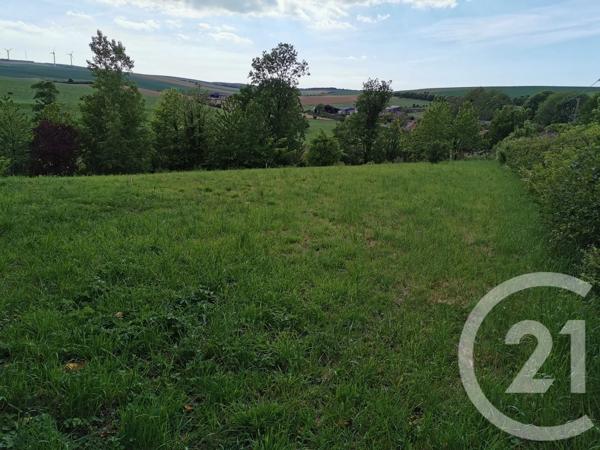 Terrain à vendre  1000 m 2   MAINTENAY  - 62