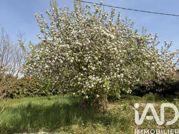 Terrain à vendre 711 m² Oloron-Sainte-Marie