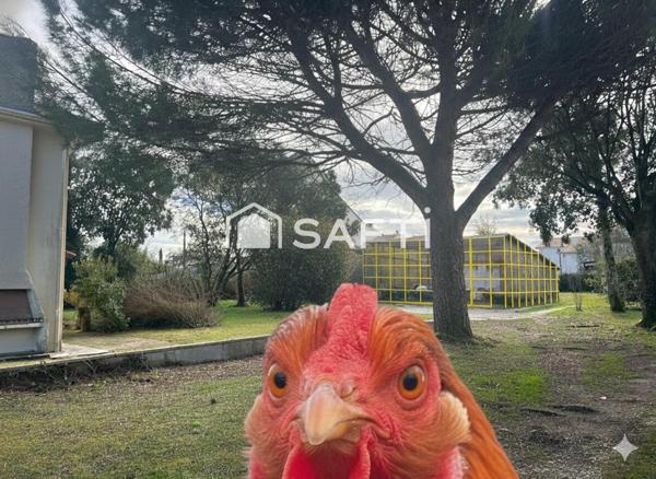 Terrain sans nuisance - construction > 200m2