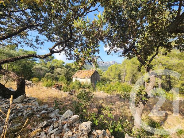 Terrain à vendre  5258 m2 LA VALETTE DU VAR - 83