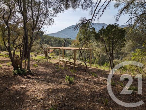 Terrain à vendre  5258 m2 LA VALETTE DU VAR - 83